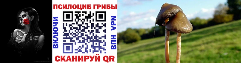 Псилоцибиновые грибы Psilocybine cubensis  ОМГ ОМГ ссылка  Нерюнгри 